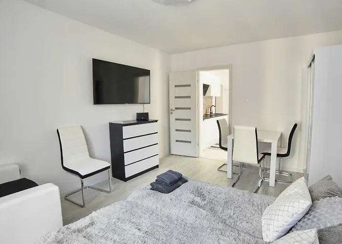 Apartament Lelewela 8